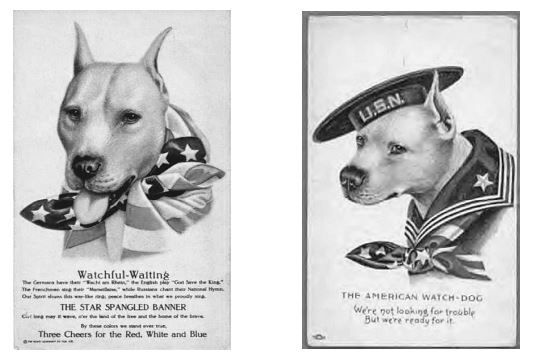 "Get That Pit Bull Away from Me!": How Data Collection, Visual Identification, and the Media Created a  Neighborhood Monster