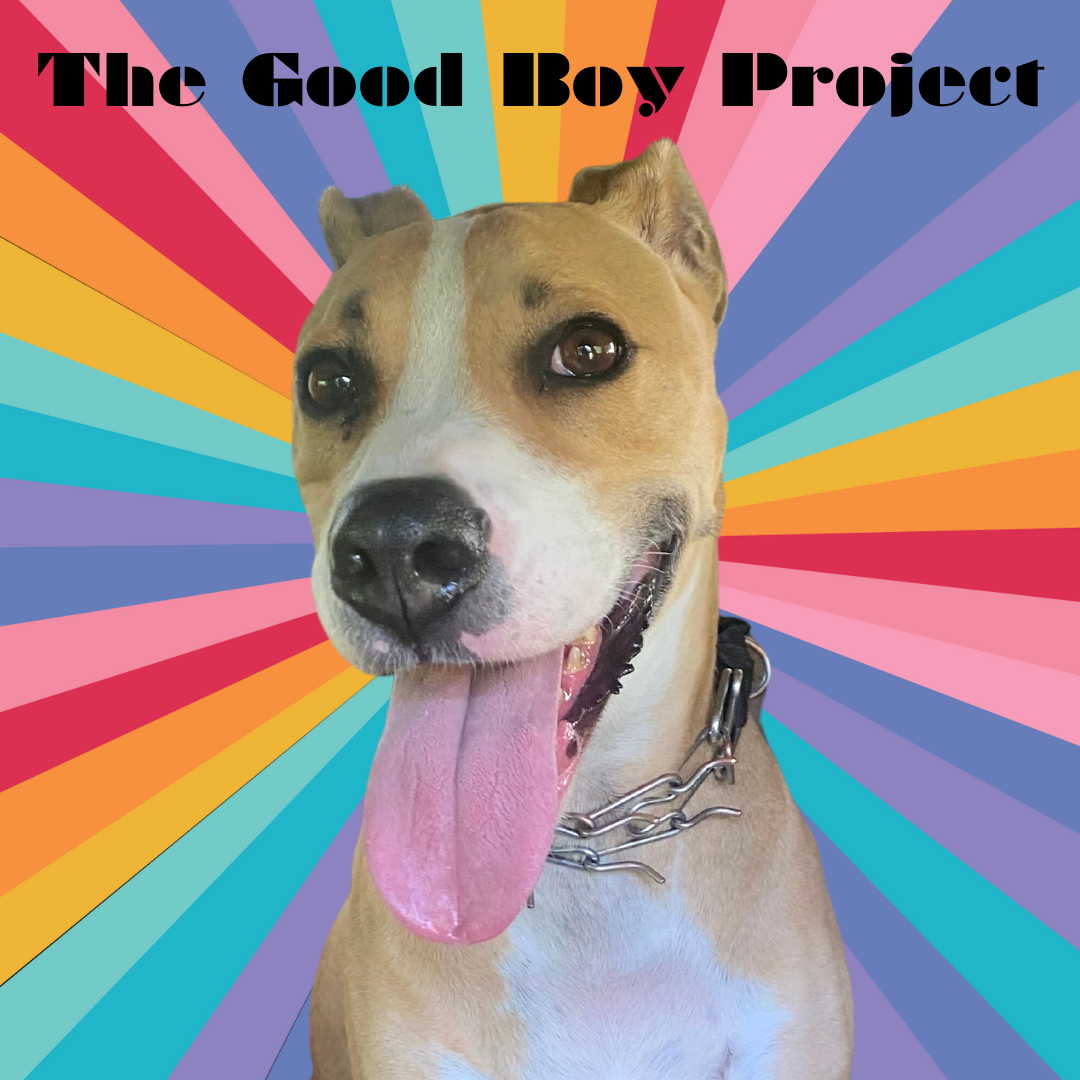 The Good Boy Project